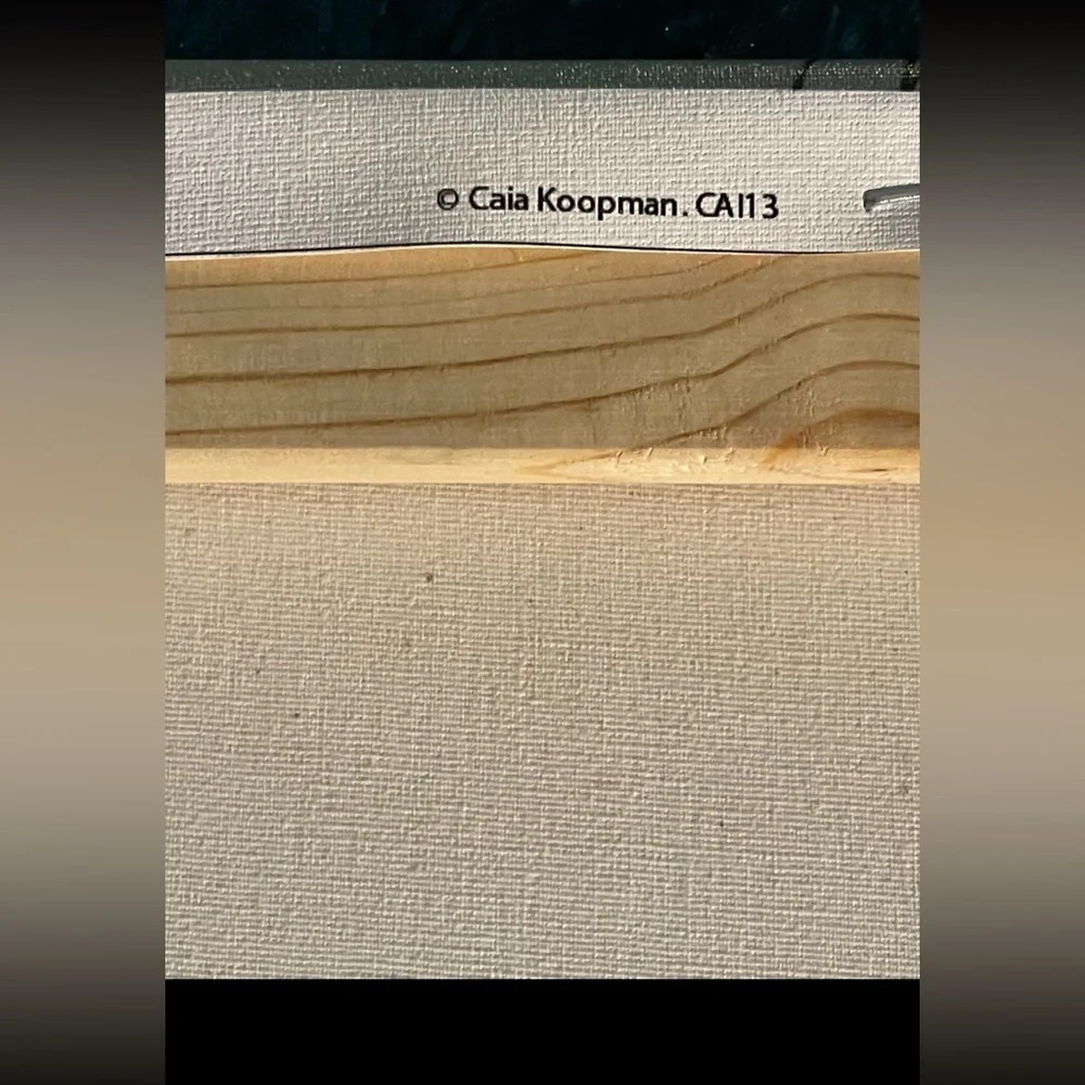 Dream Escape by Caia Koopman Canvas Wall Art 18”x28” - Picture 8 of 10